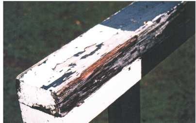 6.0 STEEPLE CHASE BARRIERS Top boards should frequently be examined for signs of rot. Top boards should be painted regularly and rotated to prolong the life of the product.