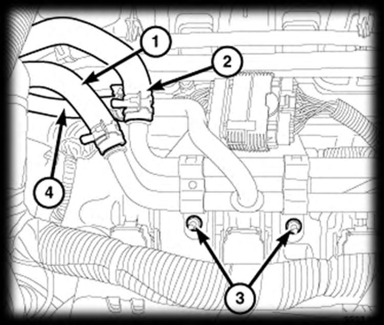 Remove the heater core supply hose (2), heater core return hose (1) and oil cooler return hose (4) from the heater core tube assembly.