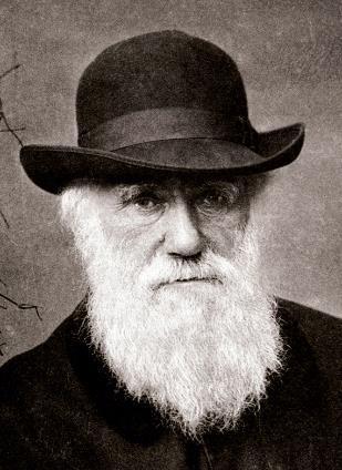 Conclusion: re-phrasing Darwin ADAPT OR