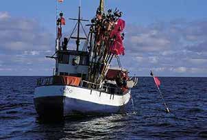 ÜLEVAADE SOOME LAHE KESKKONNASEISUNDIST Soomes antakse kalalaevadele püügikvoodid eraldi osadeta. Soome traalerid pikkusega üle 16 m püüavad püügiruudus 48H4 aastas ca 10-40 püügipäeva.
