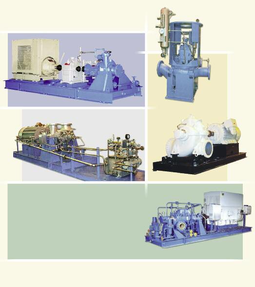 A Leader in API Engineered Pump Package Solutions API Family of Pumps Model 3700 OH-2 Model 3910 OH-3 Model 3620 3640 BB-2 Model 3610 BB-1 API Goulds Capacity TDH Temperature Pressure Type Model GPM