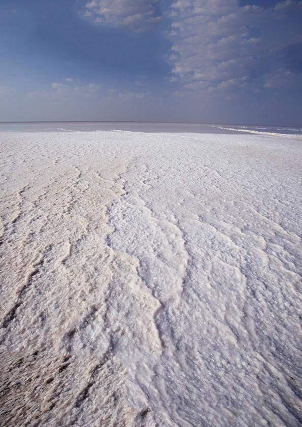The Desert Comes Alive! DEC 2016 RANN UTSAV Kutch, Gujarat Enjoy the Kutchi art and culture in its true spirit in this festival of colours on white, salty marshland. Ah, the beautiful irony!