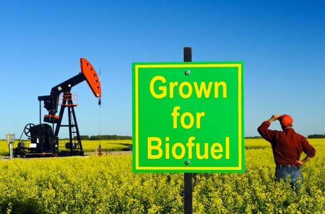 SUDAN: Why Biofuel Production?