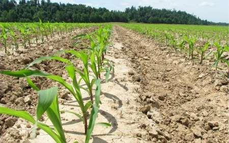 Natural resources (continued) Soil and agricultural land: Sandy soil: North and West of Sudan, (cultivation of millet, peanuts, and sesame ).