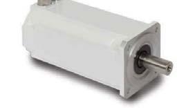 Severe wash down options All stainless options (up to 300 and 174PH grade) DC Motors "Sealed Tight Food" grade motors are