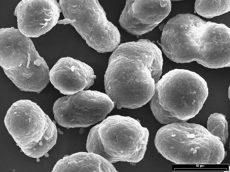 BL High Performance Polymers - Development of Materials for AM The polymer powders have a characteristic shape Mainly spherical particles Narrow grain size