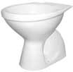 flushing and horizontal outflow; can be combined with toilet seat and lid 10131, 10111 Floor standing toilet bowl M13001 vertical flushing and vertical outflow; can be
