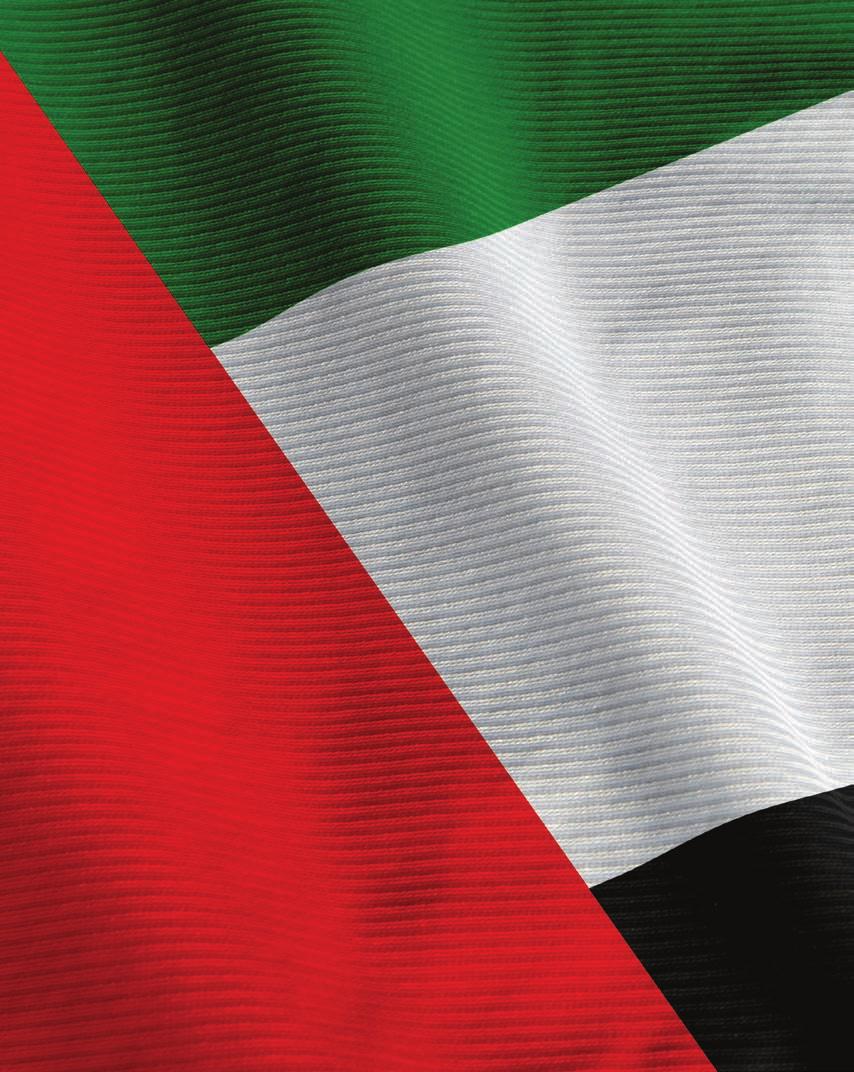 United Arab Emirates Summary The UAE relies on imports, with virtually the entire supply of car and light vehicles being imported.