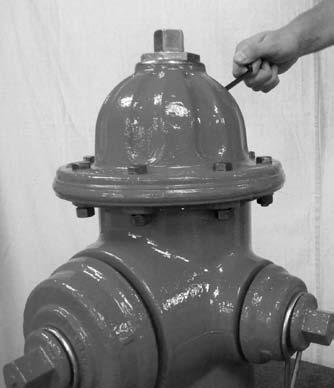 Maintenance If oil is low, use a small funnel to add MUELLER Hydrant Lubricant. When oil is level with Oil filler Plug Hole, replace Oil Filler Plug. 1.