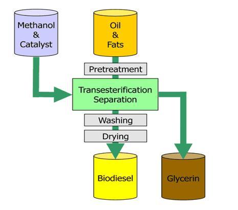 Fractional Distillation Process