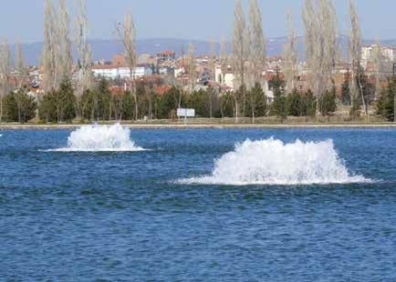 ACCESSORIES LAKE MANAGEMENT AERATORS AND FOUNTAINS A growing global trend is to install surface or subsurface aerators in ponds or lakes that are less than 15 feet (5m) deep.