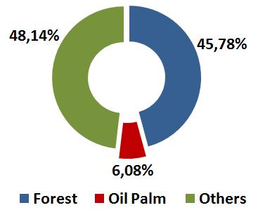 Share of oil palm
