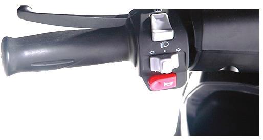 9.2 Handle bar controls: 5 Left Side 2 Right Side 10 3 8 4 1* 7 1* 6** 9 1* Horn button 6** High/Low speed switch 2 High/Low beam