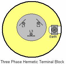 Hermetic Three Phase Motors. An hermetic motor is basically an open framed motor directly coupled to the compressor it is driving.