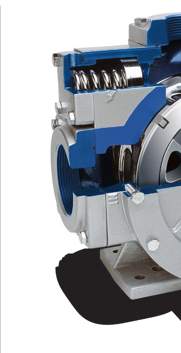 Sliding-Vane Pumps Features and Benefits High pumping efficiencies The positive displacement, sliding-vane design of the Coro-Vane pump is commonly found in the LPG industry because its pumping