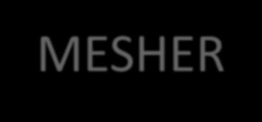 NUMERICAL SOLVER - MESHER