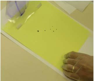 Integrity Testing Dye Penetration Proposed Standard for Detecting Leaks in Nonporous Packaging Dye penetrant