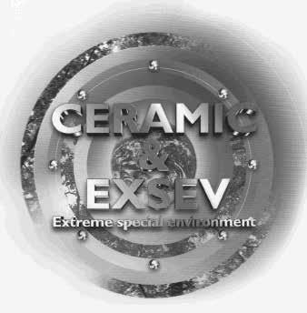 SECTION 1 - Bearing Basics EXSEV AND CERAMIC BEARINGS 1.