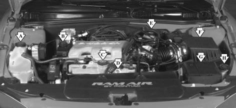 3400 V6 (CODE E) Engine When you open the hood, you ll see: A. Engine Coolant Surge Tank B. Power Steering Fluid Reservoir C.