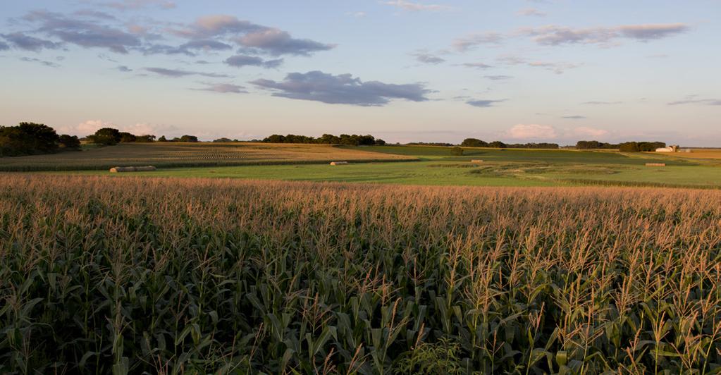 Field Crop Trials Results Minnesota Agricultural Experiment Station and the College of Food, Agricultural and Natural Resource Sciences The Minnesota Corn Evaluation Program was conducted by the