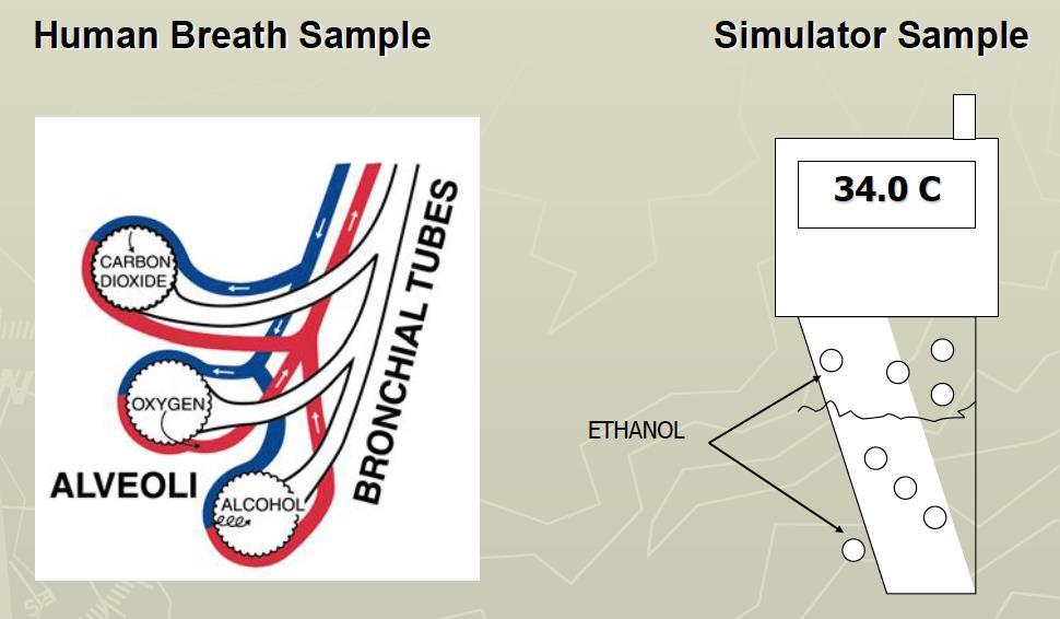 Why We Use Simulators Provide a sample that closely resembles a human breath sample