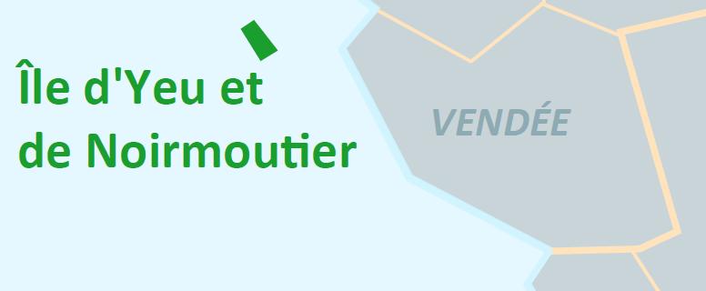 line 160 220 M 81 months Iles d Yeu et de Noirmoutier 2014 ongoing tender