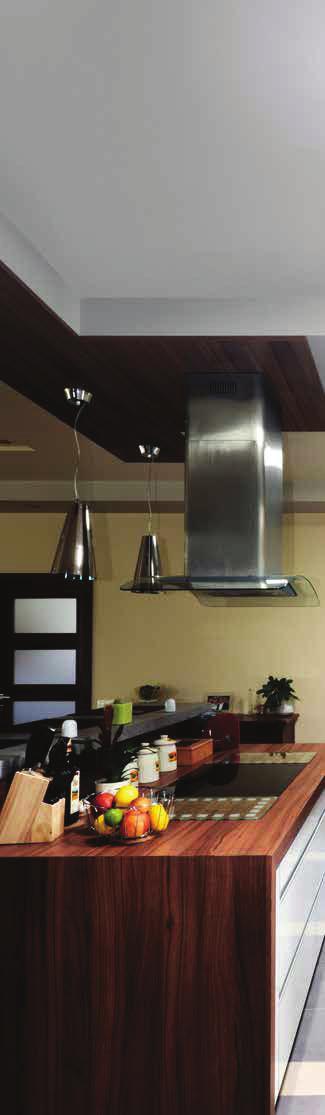 Leading light into places you never thought possible! Bring light into areas in your home where a skylight won t fit.