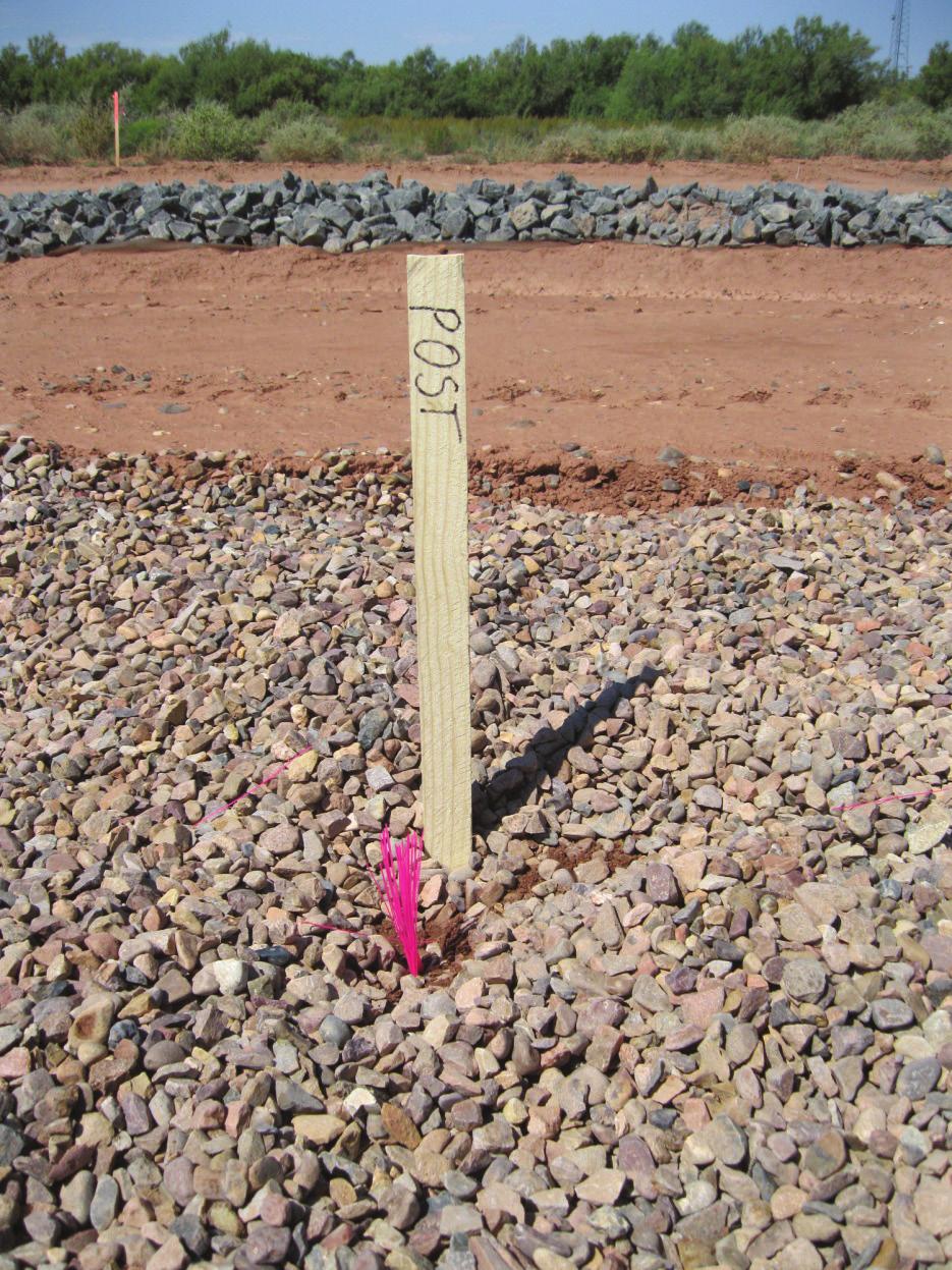 dvance the post approximately two feet into the subsurface then re-check level.