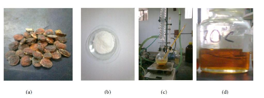 Energies 2013, 6 4 In acidification step following reaction was occur for sodium soap: R COONa HCl R - COOH NaCl In esterification, the above product is kept in a 250 ml three necked flask and