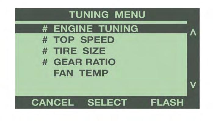 CHANGING OPTIONS To change tuning options, select Customize Tune from the Tuning menu.