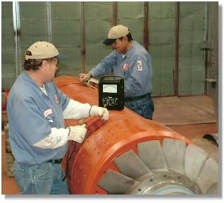 Technical Presentation Generator Assessment Program Tour Tests, Inspections, and Examinations Off-Line Inspection, Tests &