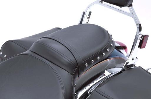 Styling/Ergonomic Features * Sissy-bar backrest features Tombstone - style riveting.