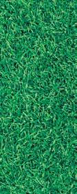 RS615 Lawn size: up to