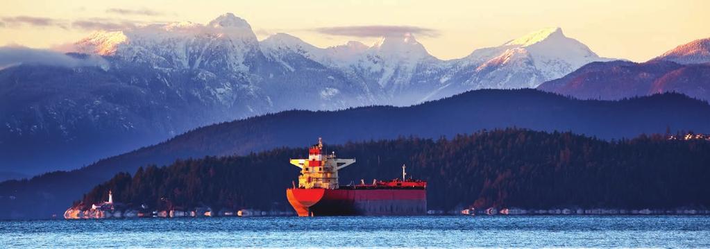marine lubricants methanol and marine lubricants in a lower sulphur, lower emissions future The drivers for alternative bunker fuels and why shipping is set to witness its most significant period of