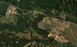 Deforestation: Satellite imagery (see below) shows that 138 hectares