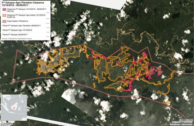 Deforestation: Between October 16, 2016 and September 26, 2017, an estimated 420 hectares were deforested (see satellite imagery below), including clearing of Bornean orangutan habitat as per the