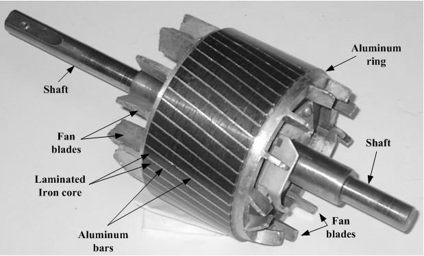 Squirrel-Cage Rotor short circuits all