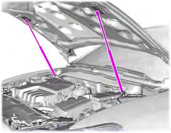 side. 3 4. Open the hood. The hood struts automatically support the hood.