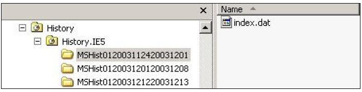 Slika 18. Struktura foldera Internet History u forenzičkom alatu Forenzičar može otkriti tip foldera iz konvencije imenovanja koja se koristi u imenu foldera.