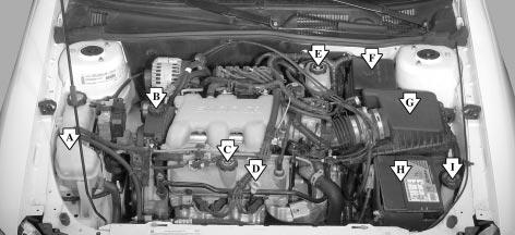 Engine Compartment Overview When you open the hood, you ll see the following: A. Engine Coolant Surge Tank B. Power Steering Fluid Reservoir C.