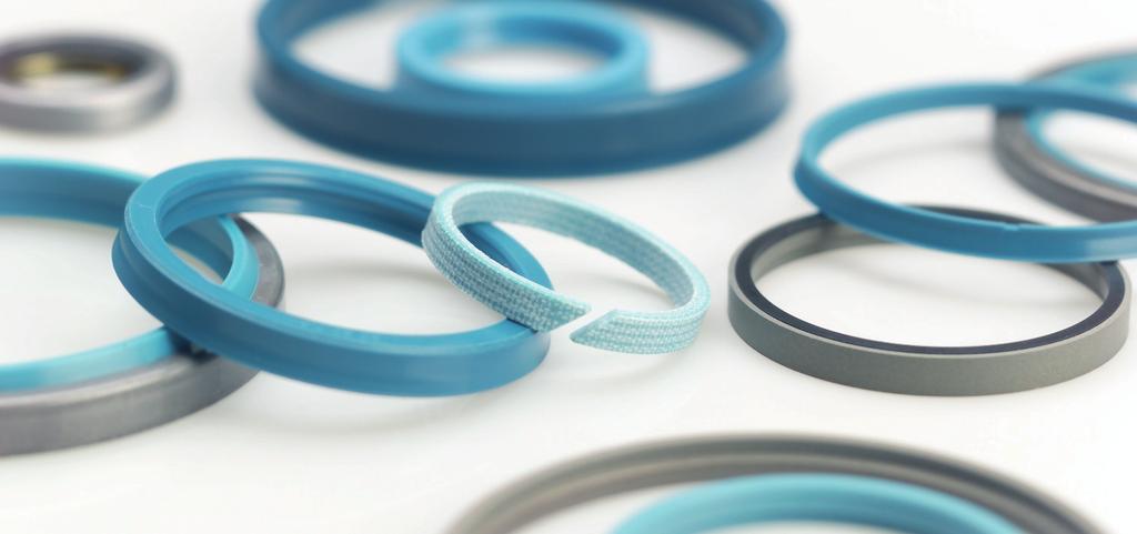 Your Partner for Sealing Technology Busak+Shamban is a major international sealing force, uniquely placed to offer dedicated design and development from our market leading product and material