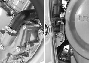 Connect the water hose and tighten the water hose band screw (page 9-7). Install the rear brake light switch holder and tighten the bolt [4].