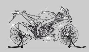 SURFACES OF THE BRAKING CIRCUIT. ALLOW LONGER BRAKING DISTAN- CES TO PREVENT ACCIDENTS. BRAKE REPEATEDLY TO RESTORE NORMAL OPERATION. CARRY OUT THE PRE-RIDE CHECKS.