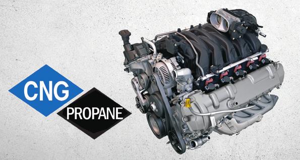 A SOLID FOUNDATION TO BUILD ON 24/7 SERVICE ASSISTANCE 1-800-444-3311 FORD 6.8L TRITON V10 AVAILABLE WITH CNG/PROPANE GASEOUS ENGINE PREP PACKAGE The 6.