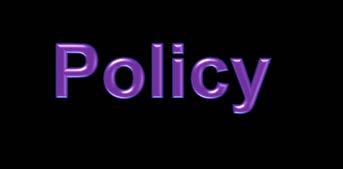 to address key policy issues through the