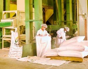 During the year, BEPRO has introduced its Complex Management Procedures to enhance the efficiency of its mills operations.