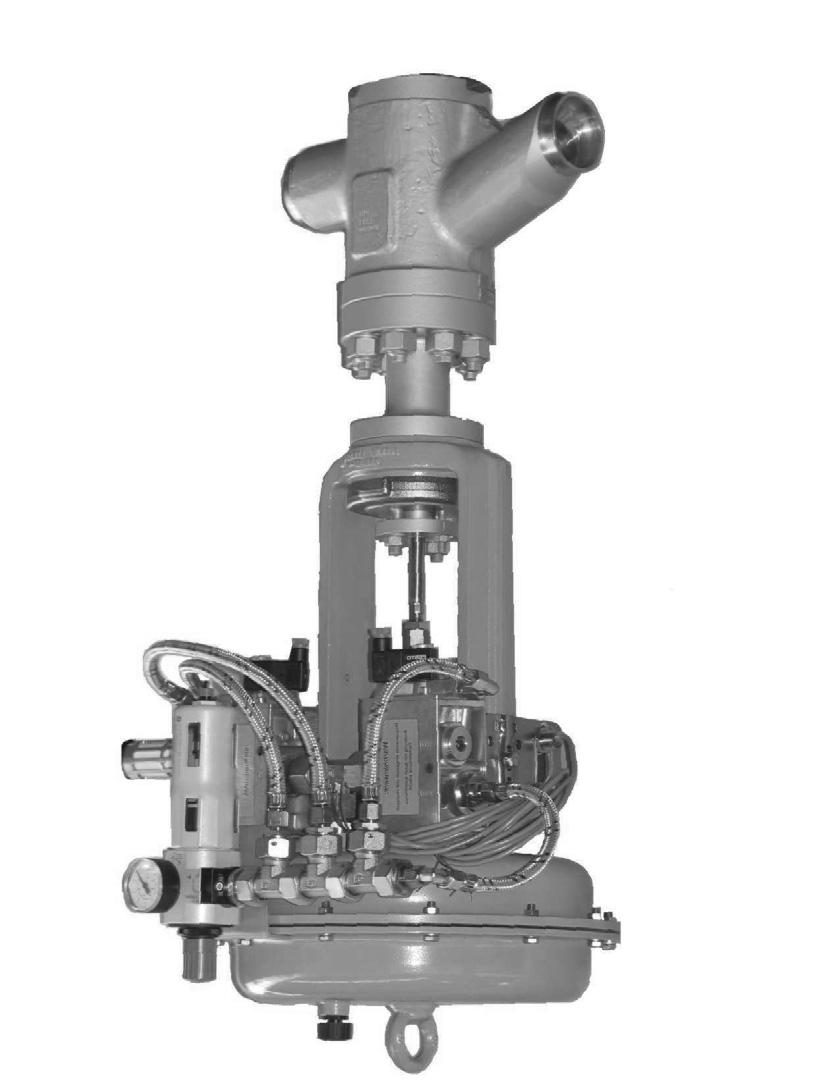 Series W&T Pneumatic Control Valve Type RVG Globe valve and angle valve Application Control valve for feedwater and steam applications in power plant engineering and the petrochemical industry