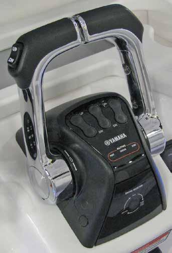 Helm Control Systems 4.3 Neutral Safety Switch Every control system has a neutral safety switch incorporated into it.