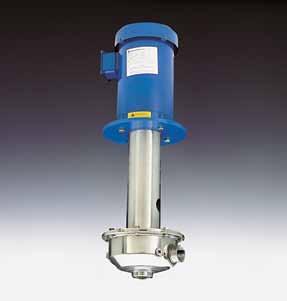Vertically Immersed NPV General information on Vertical Immersed pumps. Vertically Immersed End-Suction Pump 34 and 316 stainless steel pumps for machine tool, wash system and tank mount applications.