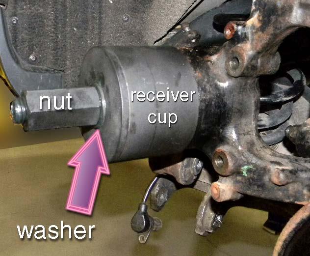 The cup should centered on the face of the bearing holder.
